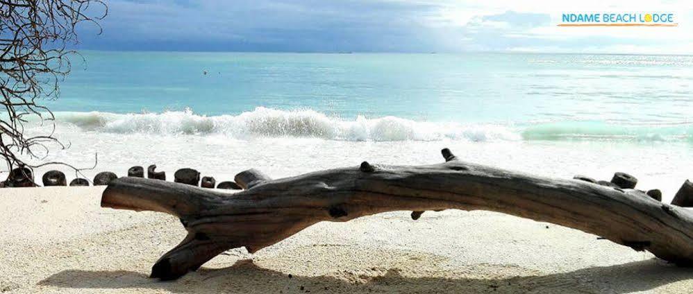 Ndame Beach alojamiento Paje Exterior foto